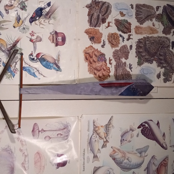 Pacific creations men's tie 100% silk - Picture 2 of 5